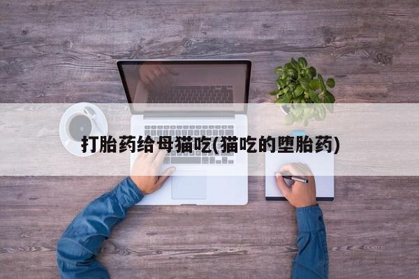 打胎药在线购买方式打胎药给母猫吃(猫吃的堕胎药)